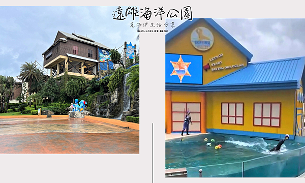 花蓮旅遊》遠雄海洋公園，海獅、海豚表演｜遊樂區｜親子旅遊一次滿足