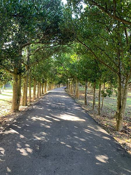 【屏東一日遊】墾丁國家公園＆後壁湖潮間帶