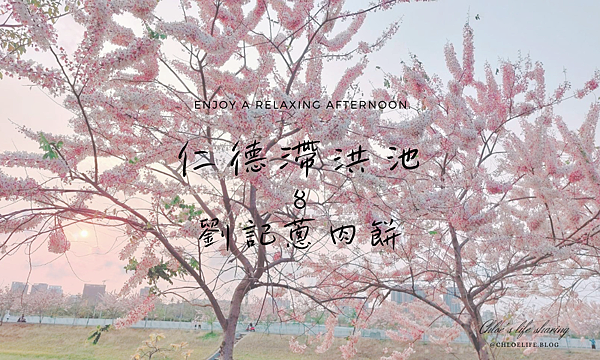 台南仁德美景、下午小吃推薦｜滯洪池花旗木步道、劉記蔥肉餅，來個下午茶時光吧~